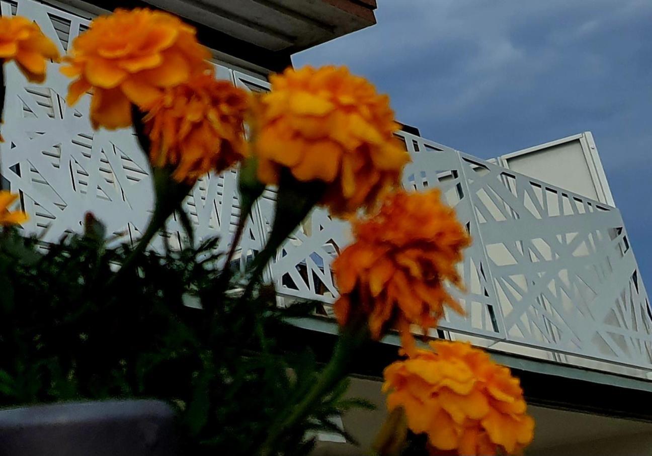 Villa Sunshine Baum Marina Zewnętrze zdjęcie